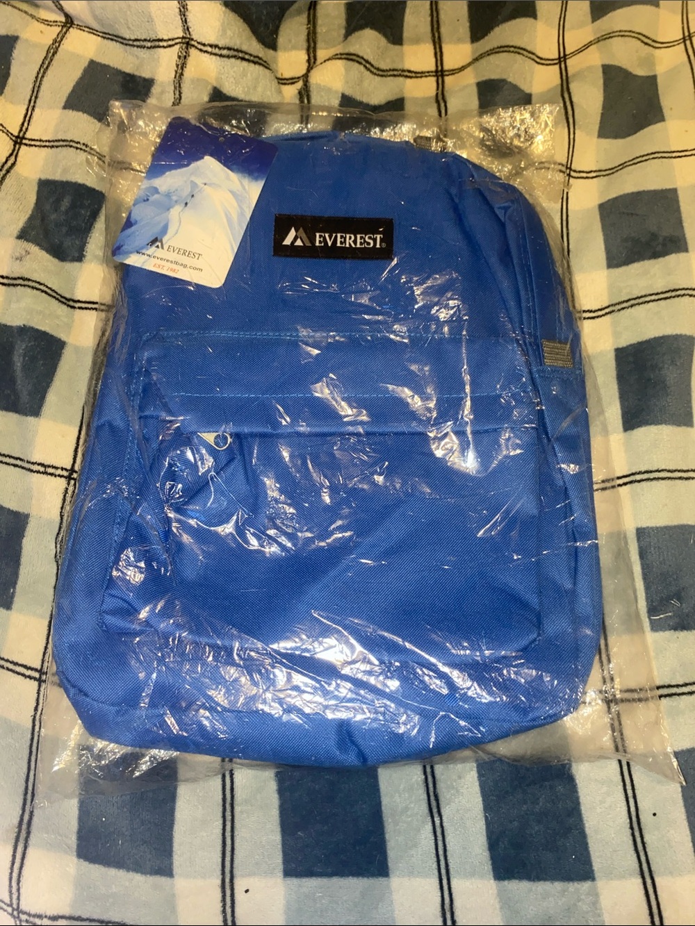 Everest Royal Blue Casual Backpack for Men
